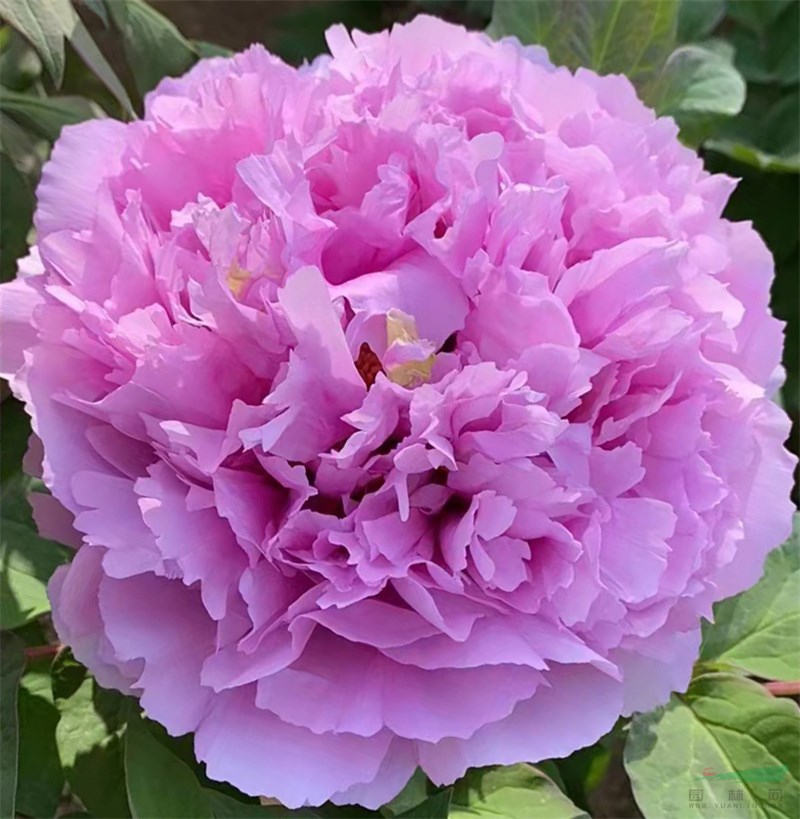 山東菏澤職業學院專業_菏澤職業學院專業_菏澤學院高職專業