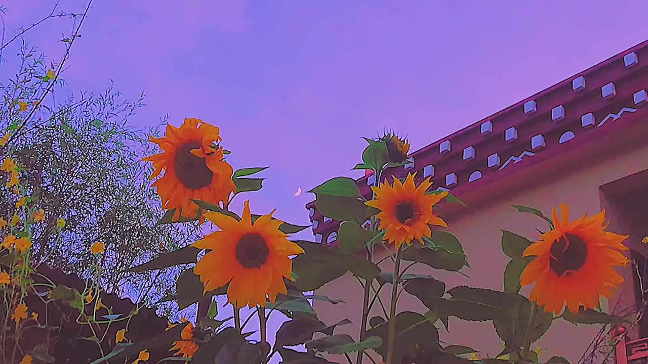 父親節(jié)祝福的祝福語(yǔ)_父親節(jié)祝父親的祝福語(yǔ)_祝福父親節(jié)日的祝福語(yǔ)