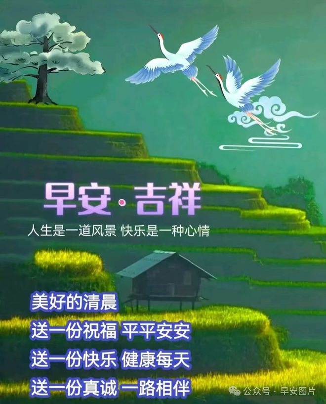 醴陵市青云學(xué)校_湖南醴陵青云學(xué)校招生情況_醴陵市青云學(xué)校2021報名