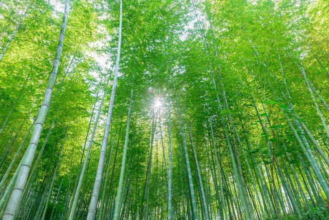 醴陵市青云學(xué)校2021報名_湖南醴陵青云學(xué)校招生情況_醴陵市青云學(xué)校