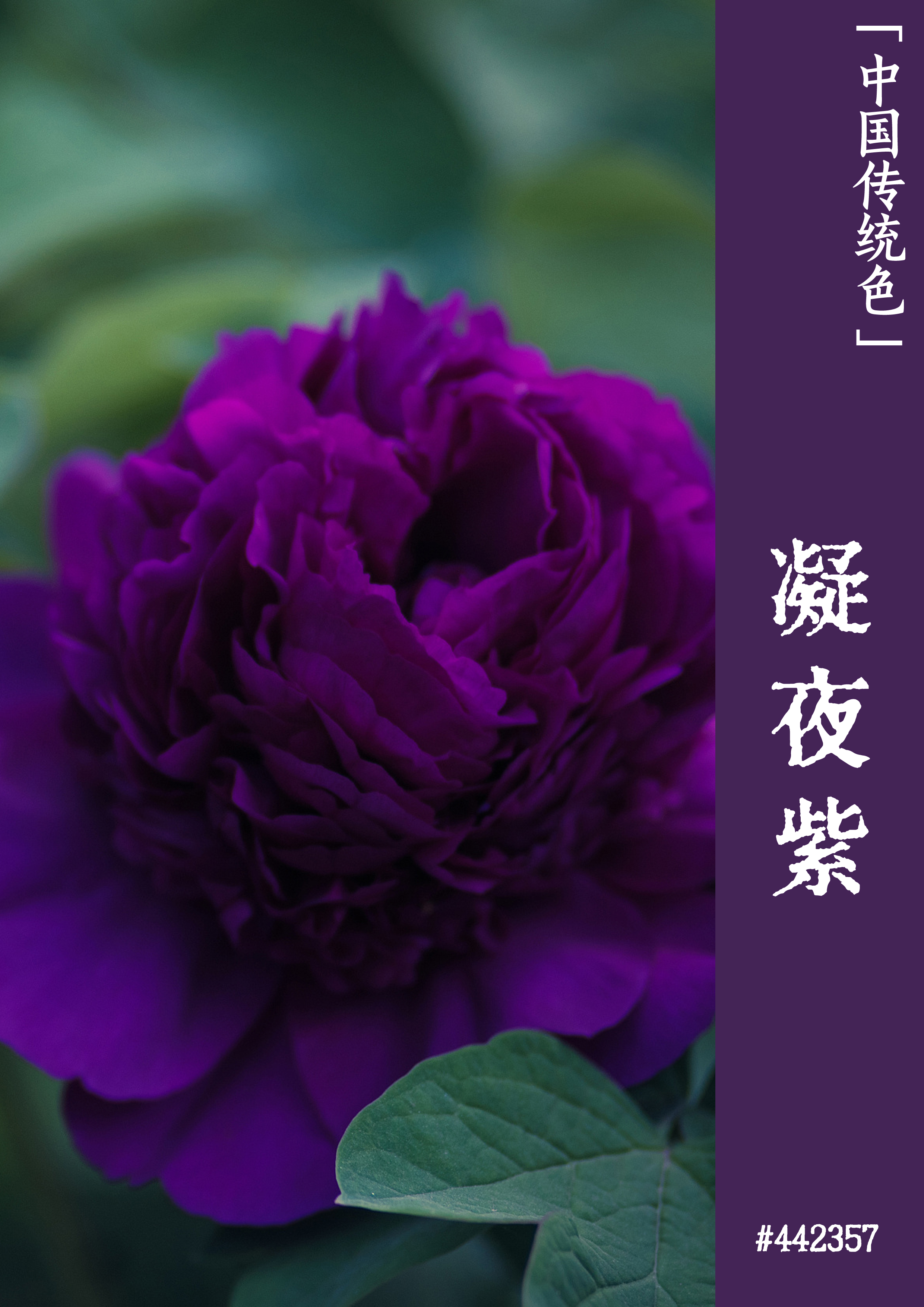 湖北科技學院專業分數_湖北科技職業學院分數線_湖北科技學院是分數線