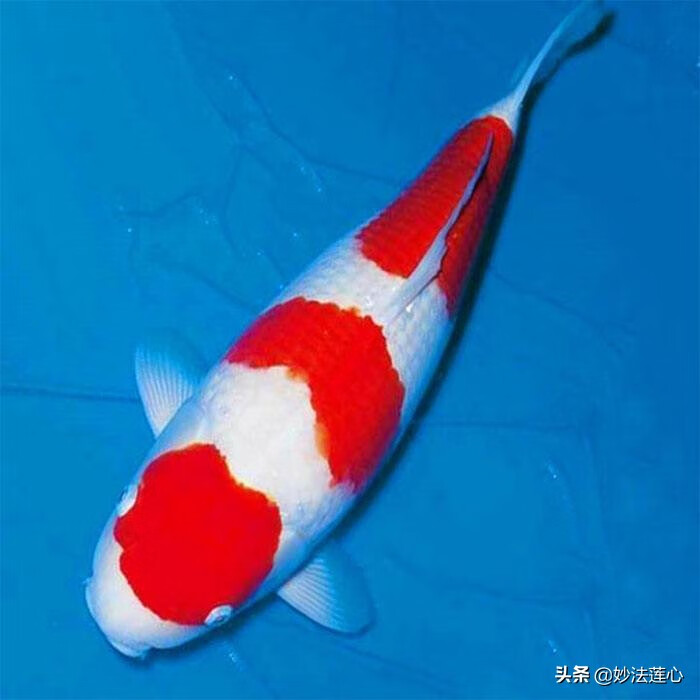 考神附體逢考必過頭像_2015逢考必過圖片_逢考必過衣服顏色最吉利