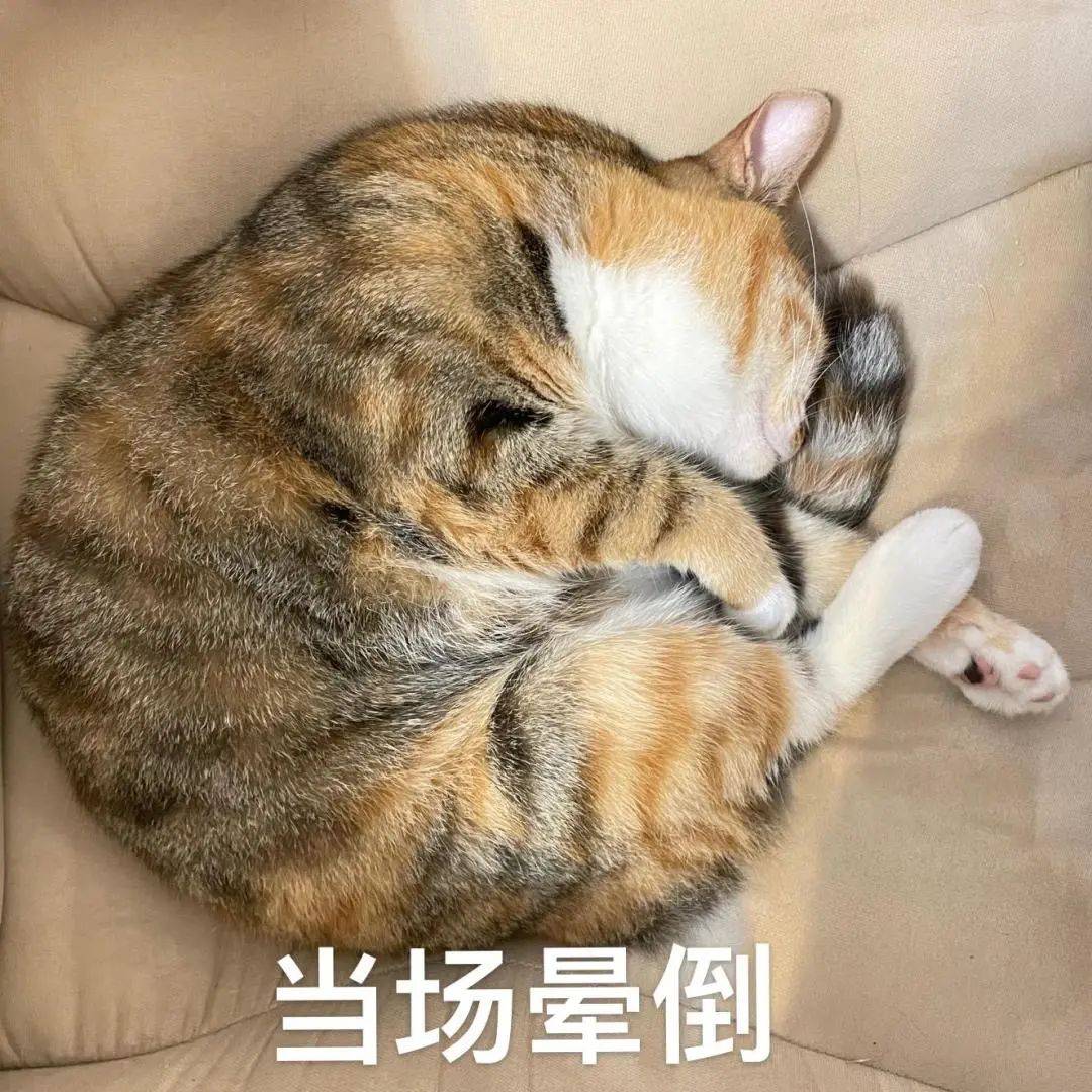 國家法定年假_法定年假國家規定_法定年假國家規定天數