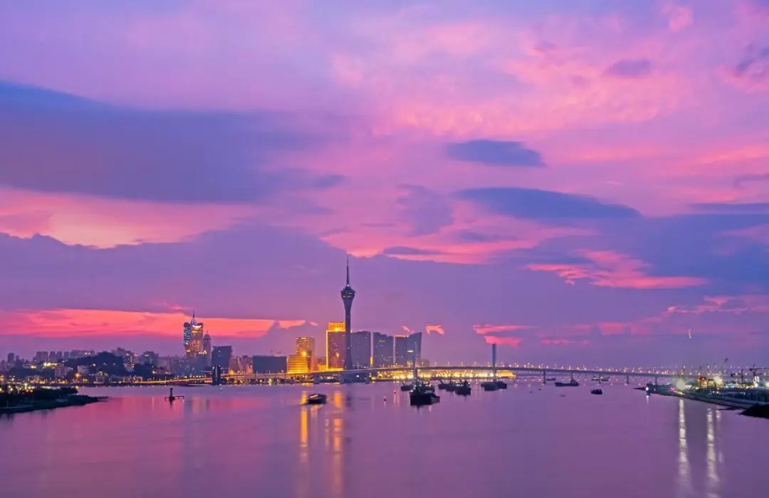 大連海洋錄取分數線是多少_大連海洋大學最低錄取分數線_2024年大連海洋大學錄取分數線