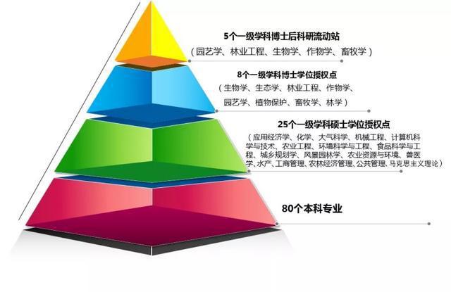 理學和工學區別_理學和工學的區別_理學和工學怎么區分