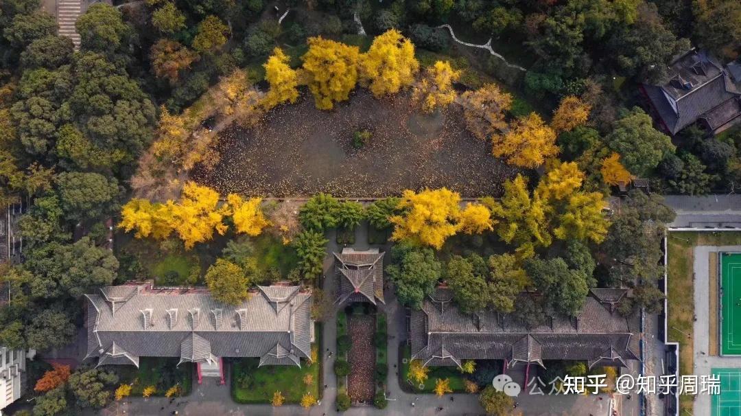 全國醫科的大學排名_醫科類全國排名_醫科大學全國排名