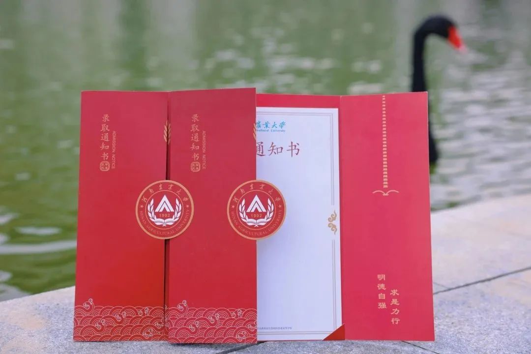 2023年中國農大研究生院錄取分數線_研究生農學分數線_2020年農大研究生分數線