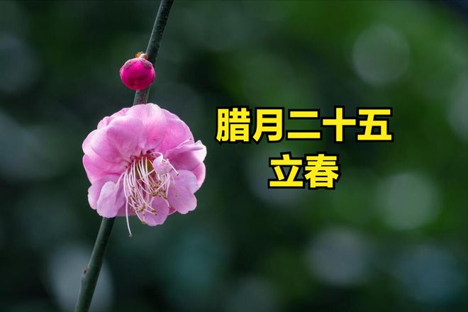 2024年幾點立春_立春年結婚_立春年畫圖片