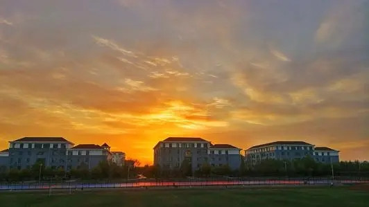 山東外國語學院職業技術_山東外國語職業技術大學_山東職業外國語技術大學官網