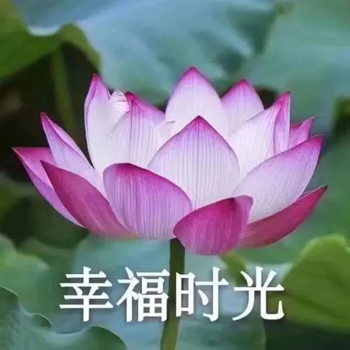 南京財經大學2021錄取分數_2024年南京財經大學錄取分數線_南京財經大學全國錄取分數線