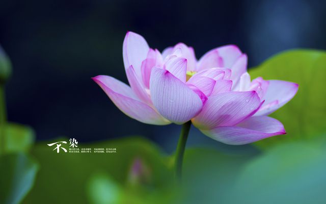 可以送班主任什么禮物_給班主任送禮的禁忌_送禮就送班主任行嗎