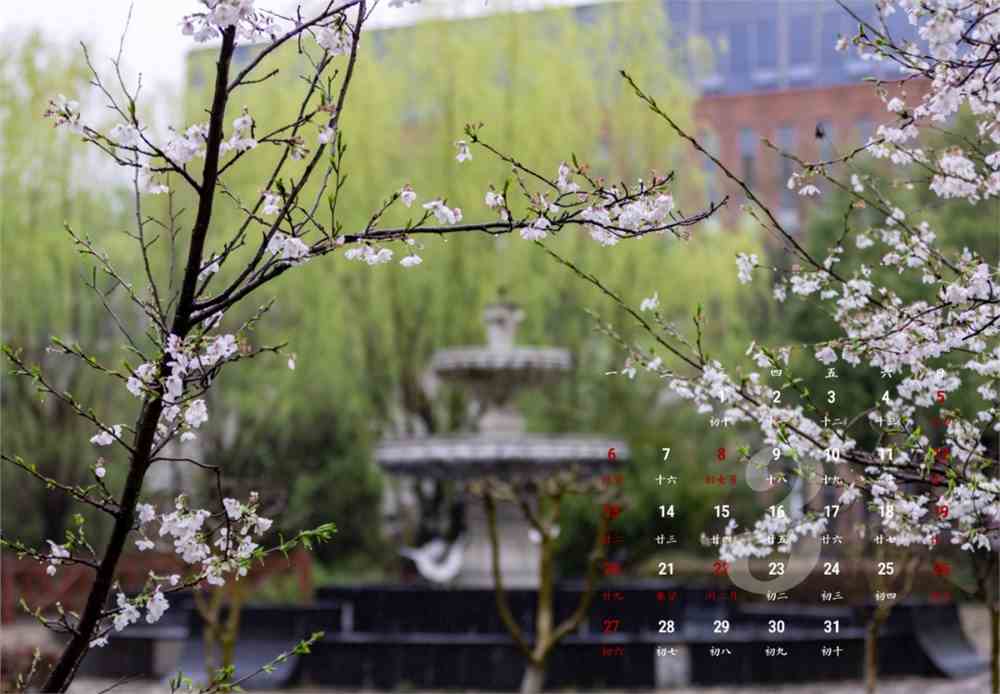 2023年三江學(xué)院招生網(wǎng)錄取分?jǐn)?shù)線_三江學(xué)院2021錄取查詢?nèi)肟赺三江學(xué)院官網(wǎng)錄取查詢