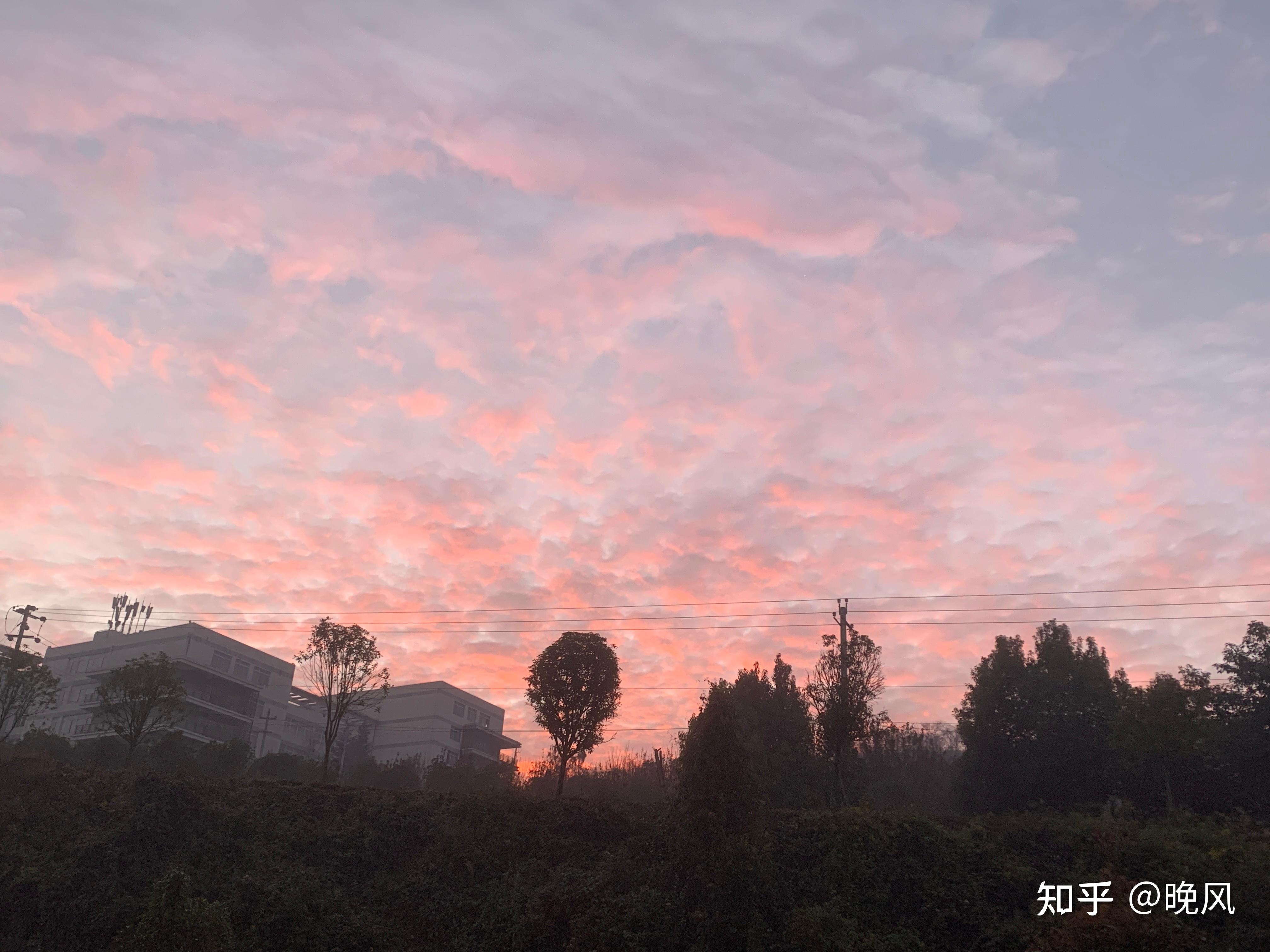 河南科大2020錄取分數_2023年河南科技大學招生網錄取分數線_河南科技錄取分數線2021