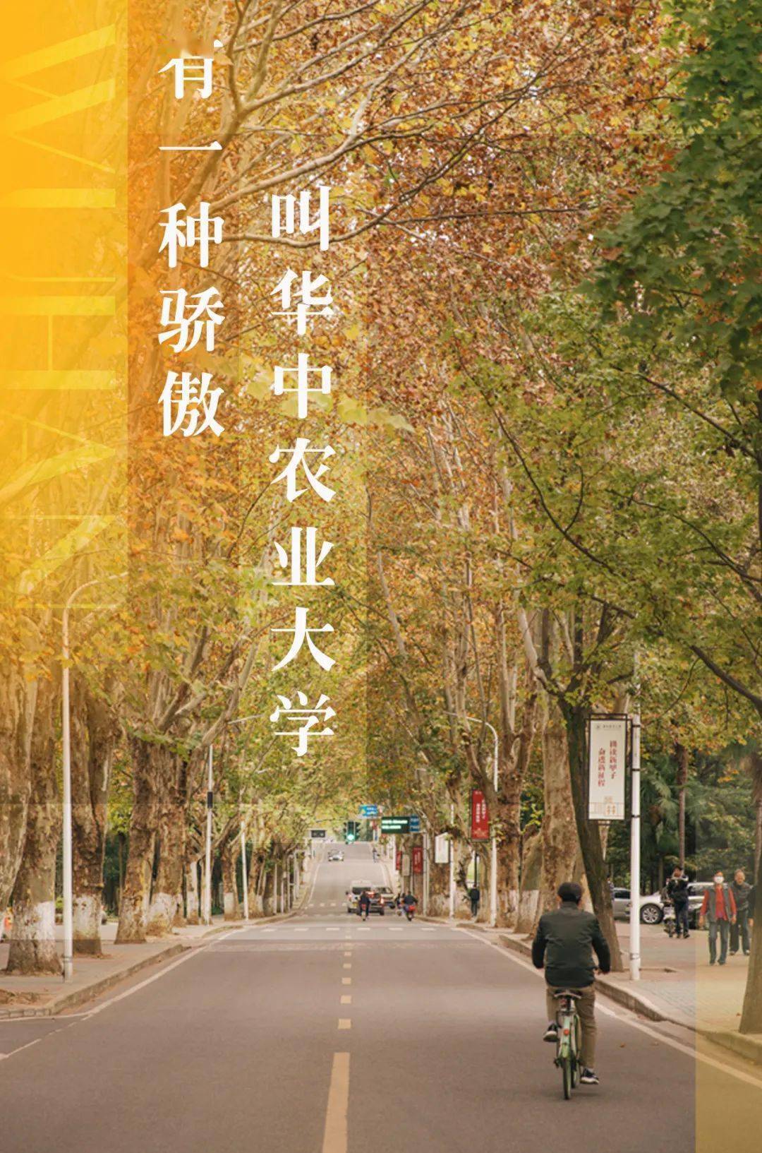 雙一流大學名額_雙一流大學名單2024_下批雙一流大學預選名單