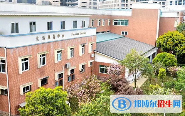 成都國際學校qsi_成都美式國際學校錄取分數(shù)線_2023年成都美視國際學校錄取分數(shù)線