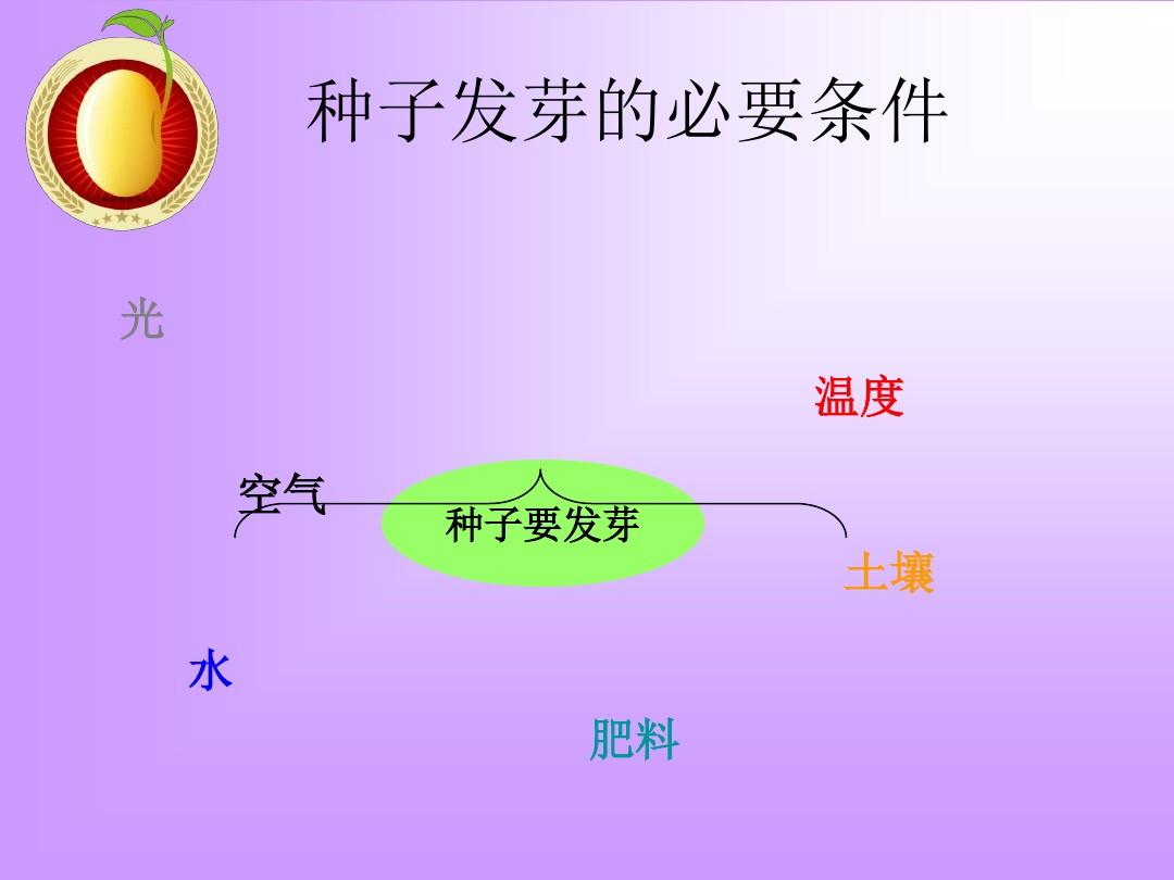 發豆芽觀察日記7天_豆芽發芽觀察日記7天350字_發豆芽觀察日記2天