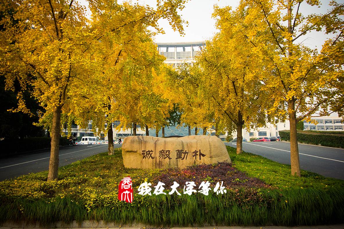 浙江202年高考分?jǐn)?shù)線_浙江高考今年分?jǐn)?shù)線_2024浙江高考分?jǐn)?shù)線