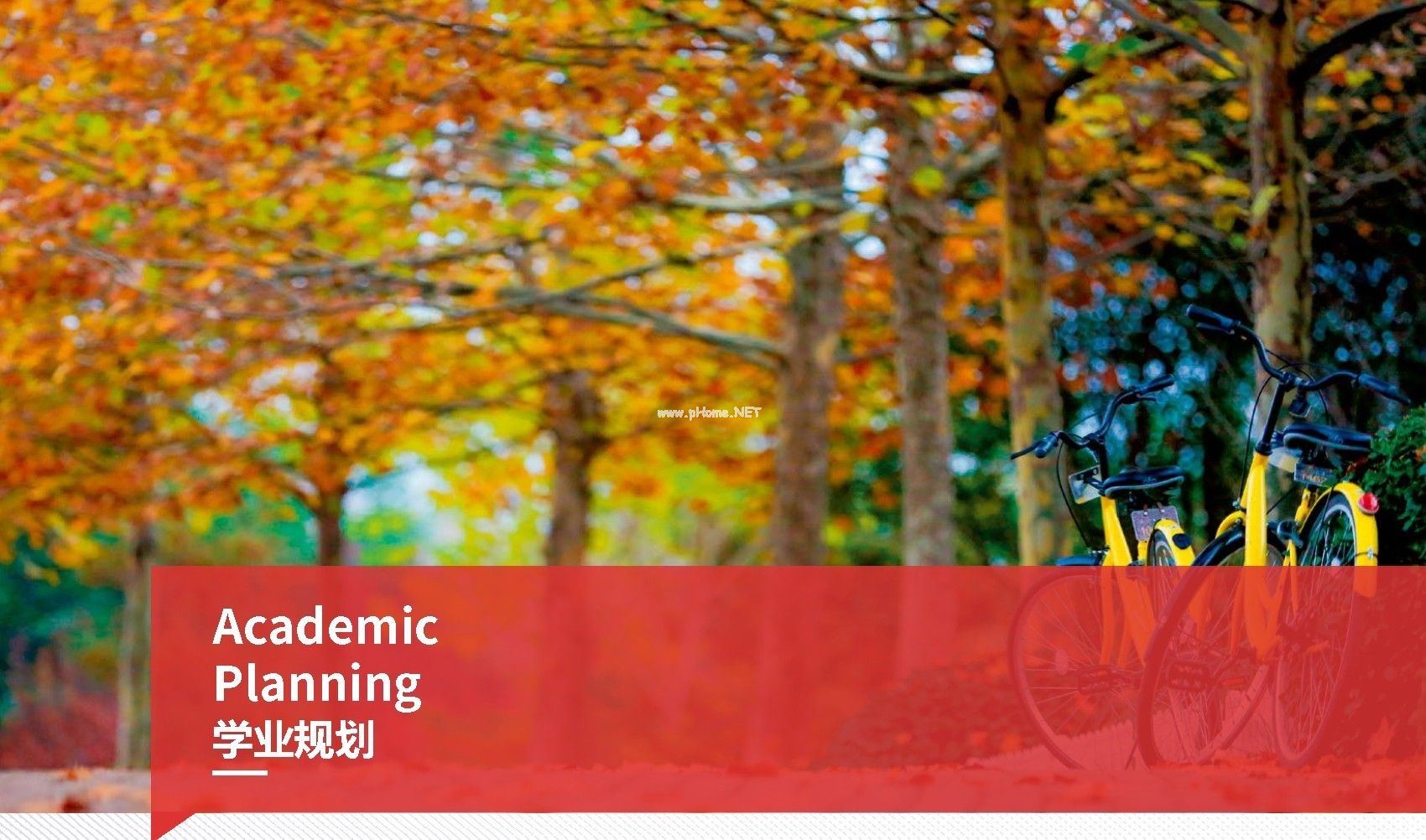 2020同等學力考研_2024年同等學歷考研_2021研究生同等學力考研