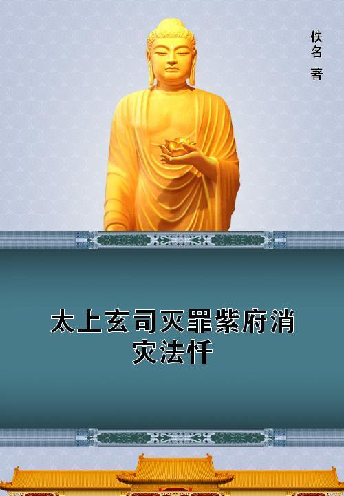 _上海機場刺母案_浦東機場刺母案