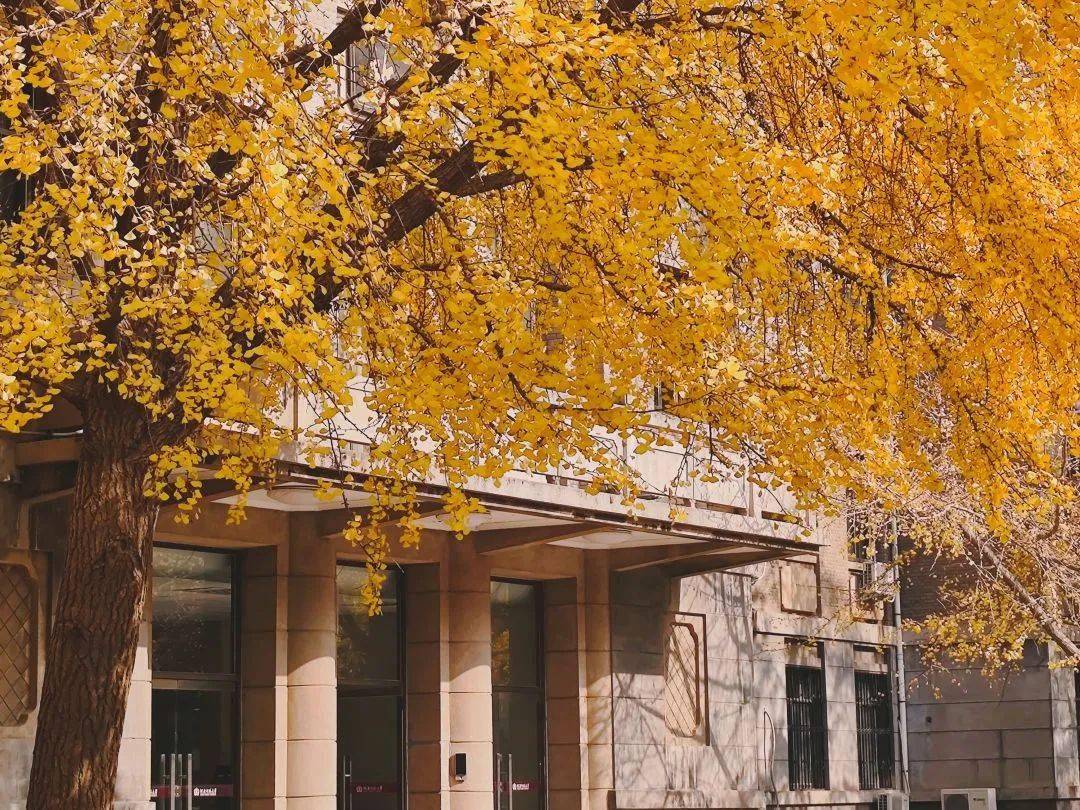 河南師范大學宿舍圖片_河南師范大學的宿舍_河南師范大學宿舍樓