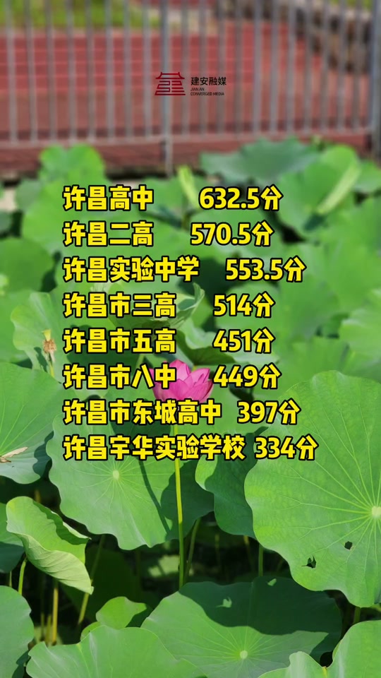 今年高考河南分?jǐn)?shù)線2021_河南2024年高考錄取分?jǐn)?shù)線是多少_河南分?jǐn)?shù)線多少高考