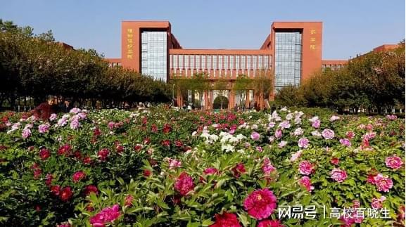 西北農林科技大學是985還是211_西北農林科技大學居然是985_西北農林科技大學有多強