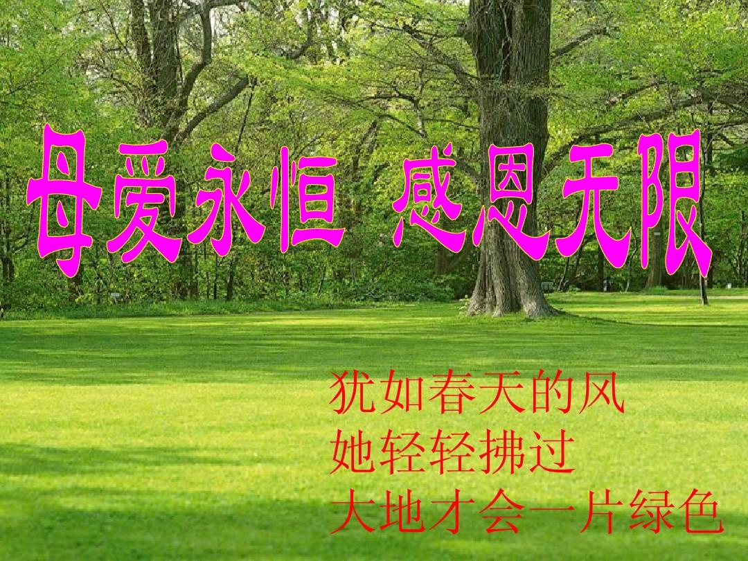 感恩母親的短句唯美二十8條_感恩母親8字短句_感恩的句子母親