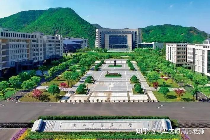 湖北的大學排名_湖北排名大學前十名_湖北排名大學有哪些
