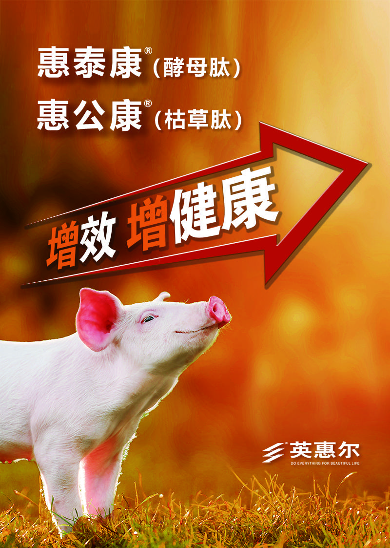 海洋大學研究生錄取分數線_2023年中國海洋大學研究生院錄取分數線_海洋大學研究生分數