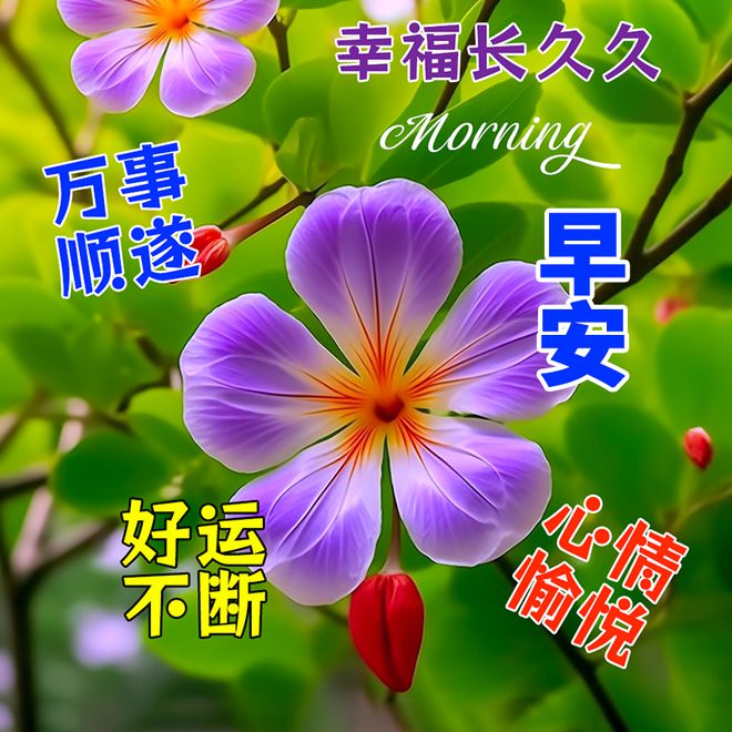 幼兒園教師節(jié)賀卡祝福語_賀卡祝福語幼兒園老師_幼兒園教師節(jié)賀卡語言祝福簡語