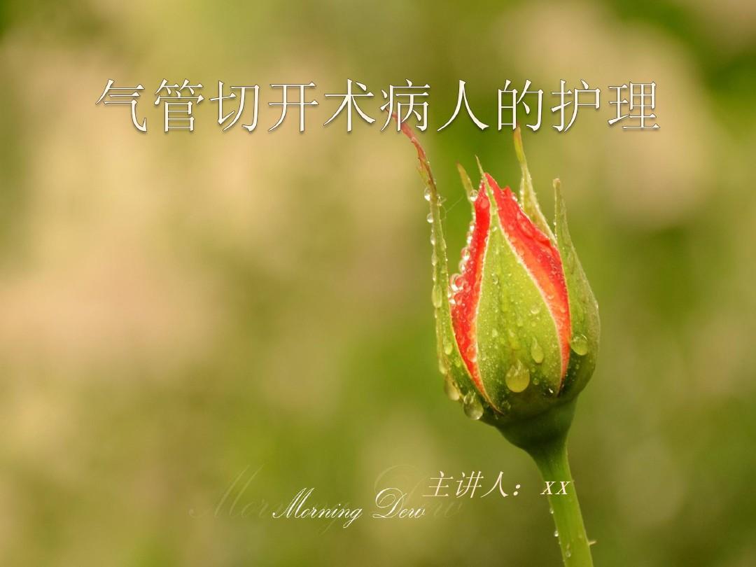 事跡標兵巾幗材料有哪些_巾幗標兵事跡材料_優秀巾幗標兵主要事跡