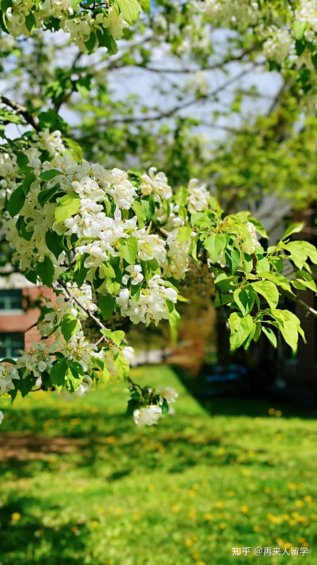請問全國大學排名_排名大學全國前十_大學全國排名