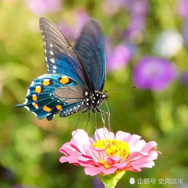 八省聯(lián)考江蘇分?jǐn)?shù)線_江蘇聯(lián)考高分_江蘇聯(lián)考分?jǐn)?shù)線2021