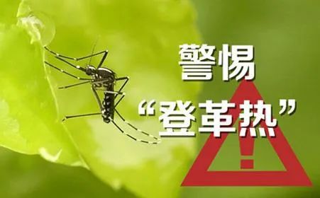 報考臨時身份證可以嗎_四級臨時有事考不了怎么辦_臨時考試叫什么