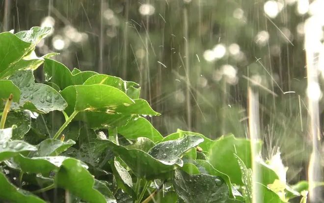 貴州高考網地址和入口_貴州高考入口官網登錄_貴州高考錄取入口網址