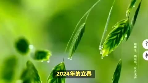 明天立春打春什么意思_明天立春打春的時間是幾點_明天幾點打春明天幾點立春