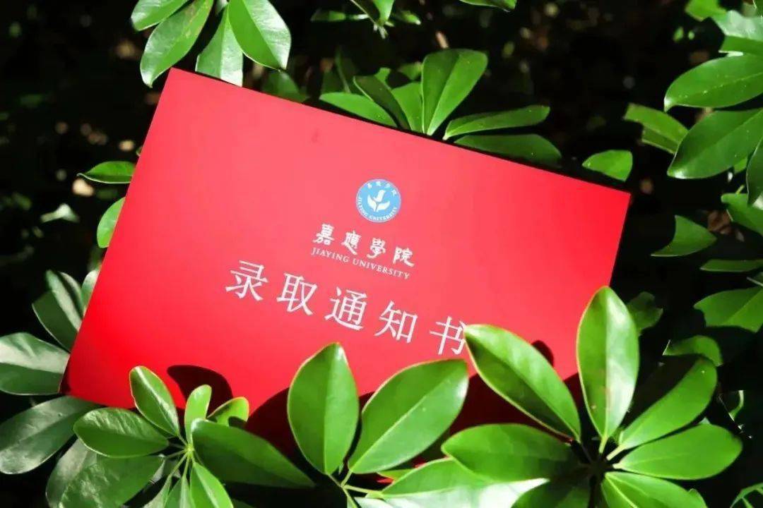 嘉應(yīng)學(xué)院2021錄取查詢_嘉應(yīng)學(xué)院錄取查詢_嘉應(yīng)學(xué)院錄取專業(yè)查詢