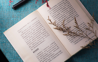 文科能報(bào)專業(yè)_文科生可以報(bào)的專業(yè)_文科報(bào)生專業(yè)可以換專業(yè)嗎