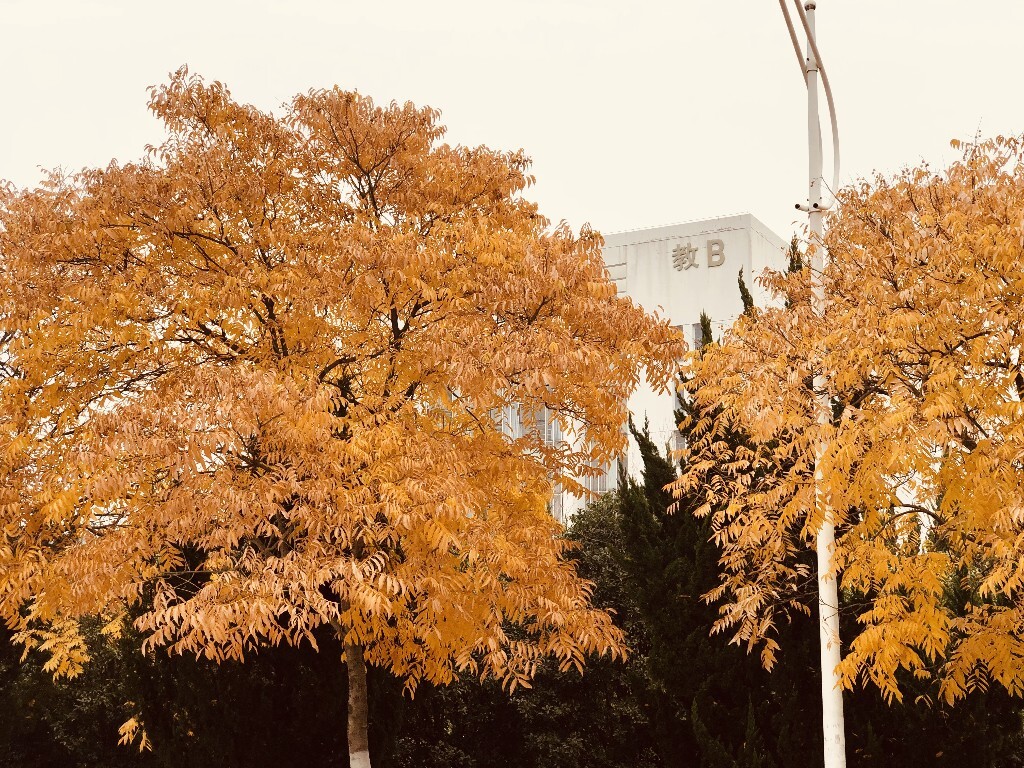 南京大學(xué)理工紫金學(xué)校好嗎_南京理工紫金大學(xué)urp_南京理工大學(xué)紫金學(xué)校是幾本