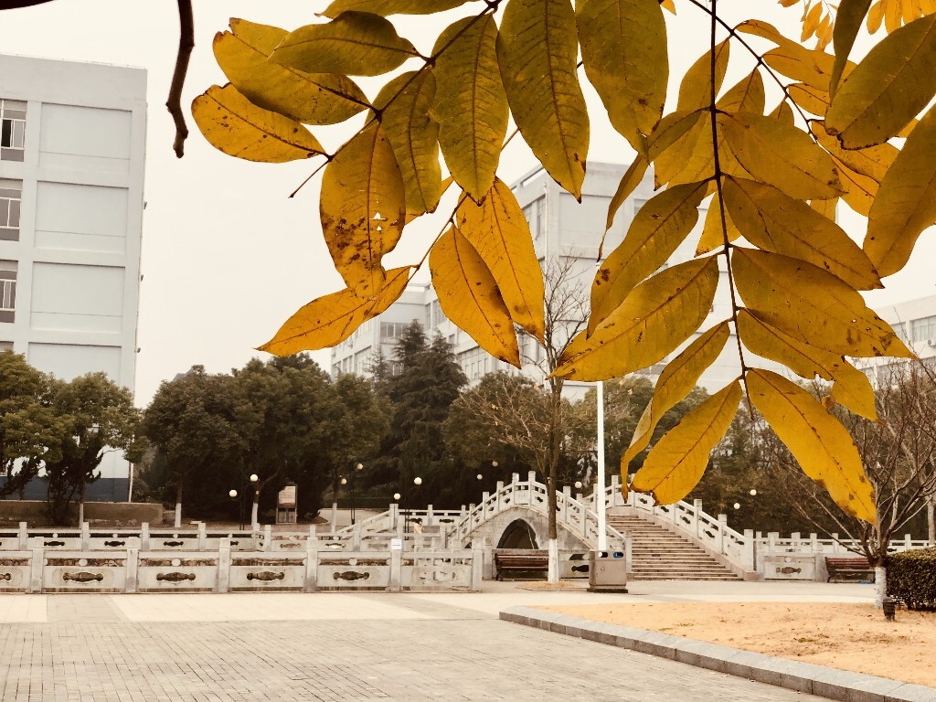 南京理工紫金大學(xué)urp_南京大學(xué)理工紫金學(xué)校好嗎_南京理工大學(xué)紫金學(xué)校是幾本