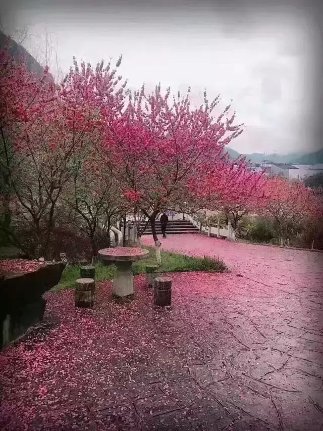 河南省師范院校排名_師范院校排名_六大教育部直屬師范院校排名