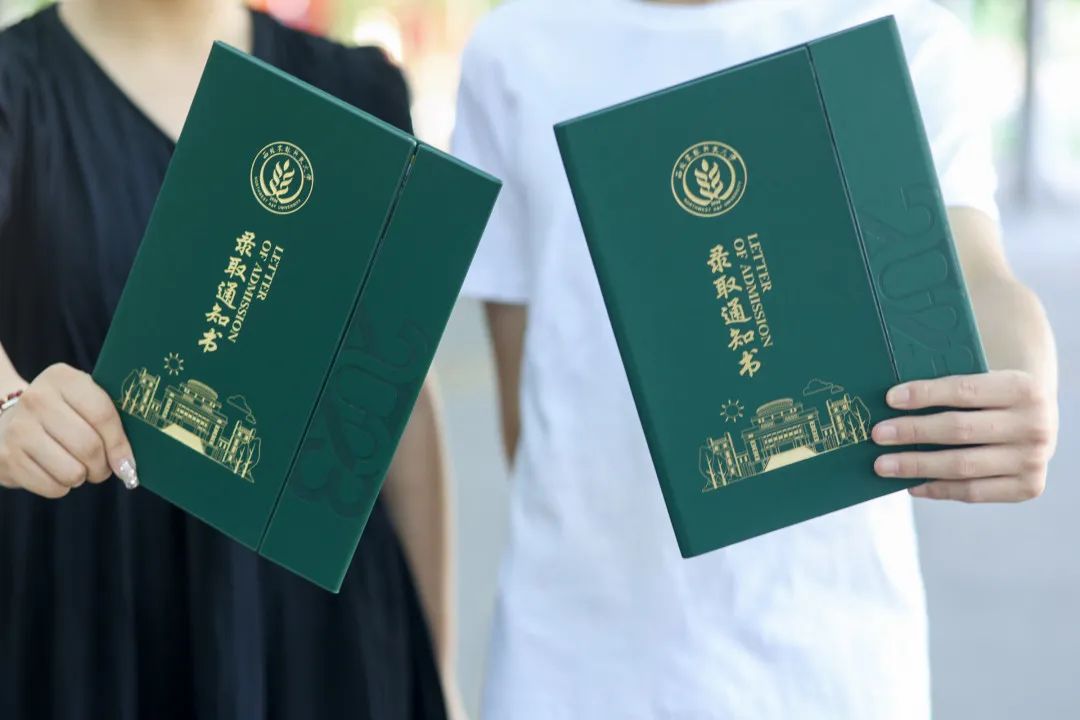 錄取查詢顯示暫無查詢結果_錄取查詢顯示暫無錄取信息_錄取暫無查詢顯示信息怎么回事
