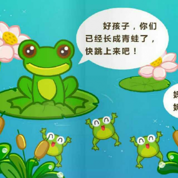 天晴了的時候閱讀理解_閱讀在天晴了的時候_在天晴了的時候閱讀答案