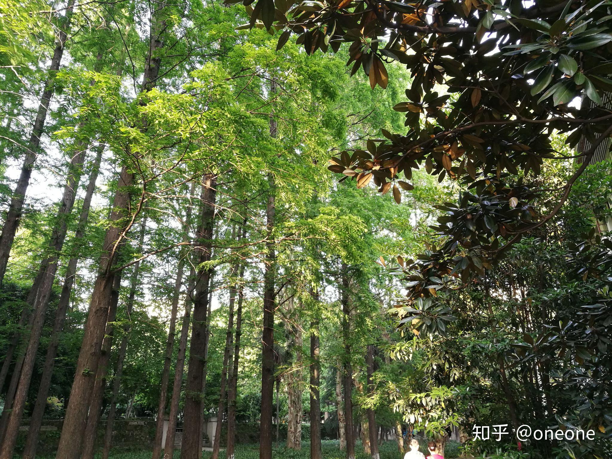 中南財(cái)經(jīng)政法大學(xué)就業(yè)信息網(wǎng)_中南財(cái)經(jīng)政法大學(xué)就業(yè)網(wǎng)官網(wǎng)_中南財(cái)經(jīng)政法大學(xué)就業(yè)服務(wù)中心