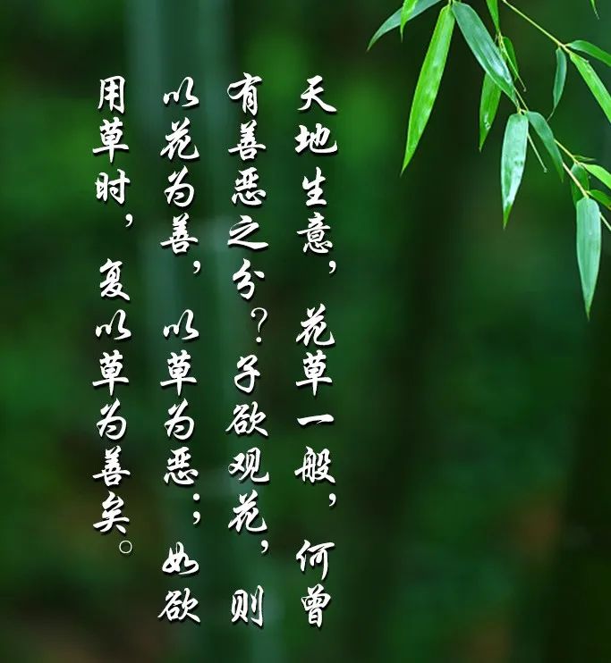 下邊小是什么字_莫以善小而不為下一句是什么_下小為是什么意思