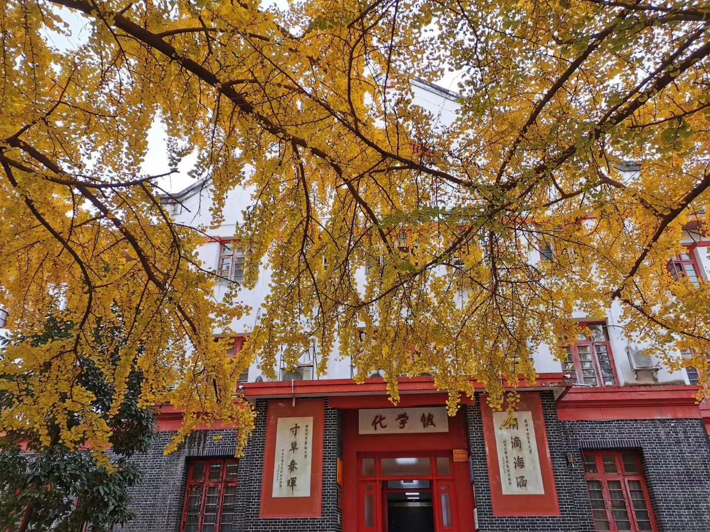 浙江排名大學排名一覽表_浙江排名大學前十名_浙江各大學排名