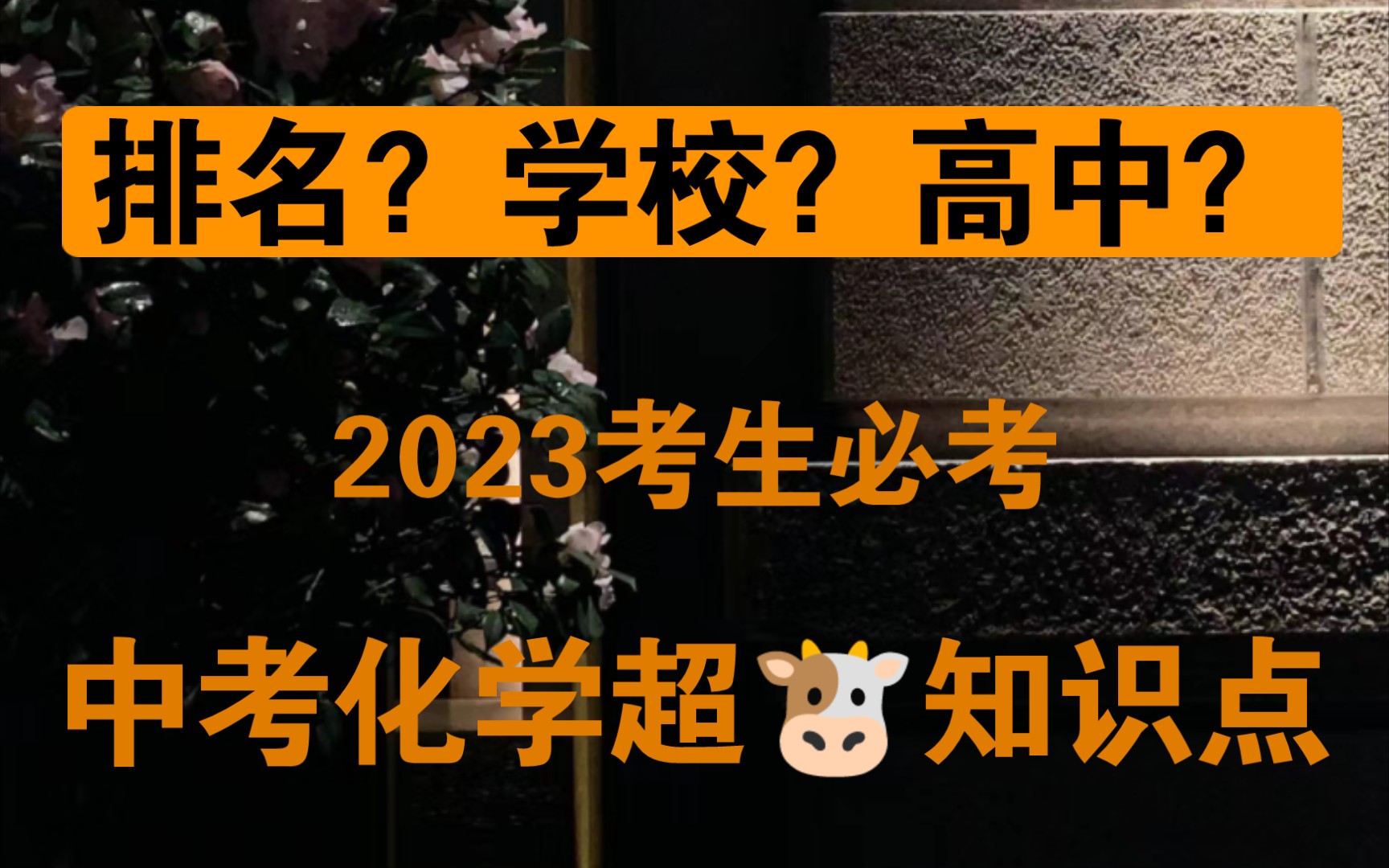 遵義中考招生網_中考遵義招生考試網_遵義中考招生網站登錄