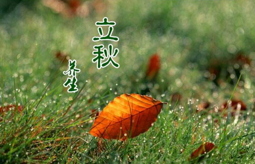 八月立秋是什么時候_八月八號立秋是幾點_八月立秋是幾號