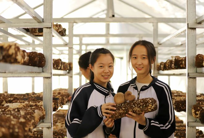 河北單招排名榜_河北省單招學校綜合排名_河北單招學校排名2024