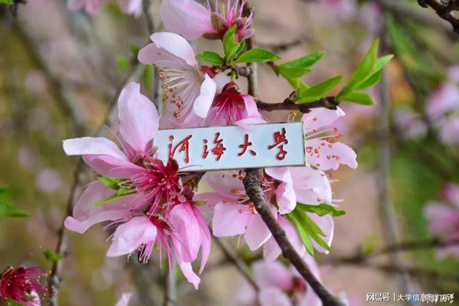 河海的王牌專業_河海大學四大王牌專業_河海大學皇牌專業